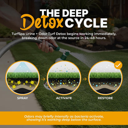 Urine & Odor Mango Detox